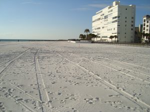 Beach Work