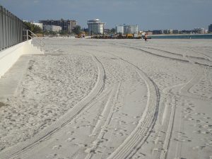 Beach Work